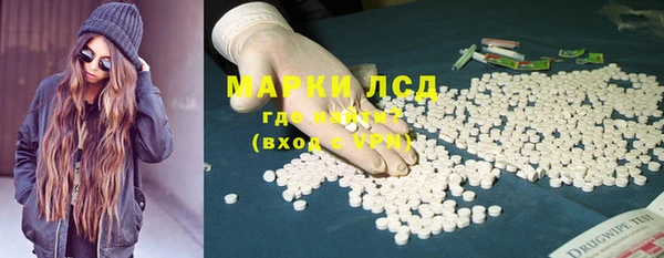 PSILOCYBIN Майский
