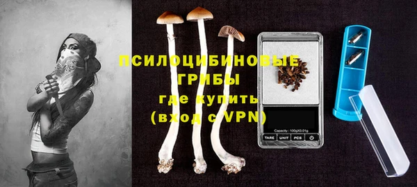 прущая мука Магас