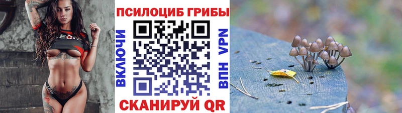 OMG ссылка  Светлоград  Псилоцибиновые грибы GOLDEN TEACHER 