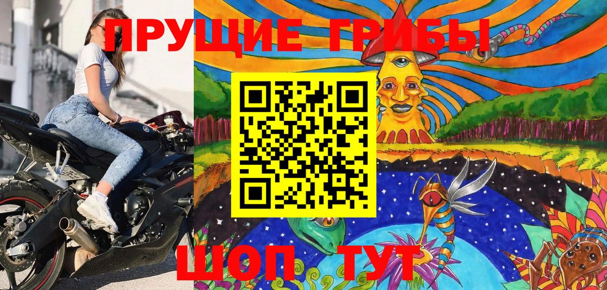 Галлюциногенные грибы GOLDEN TEACHER Светлоград