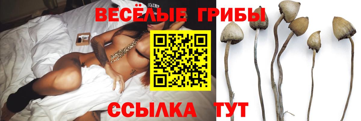 Светлоград  Псилоцибиновые грибы GOLDEN TEACHER  Вход с VPN 