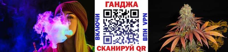 Шишки марихуана планчик  наркошоп  hydra как войти  Светлоград 